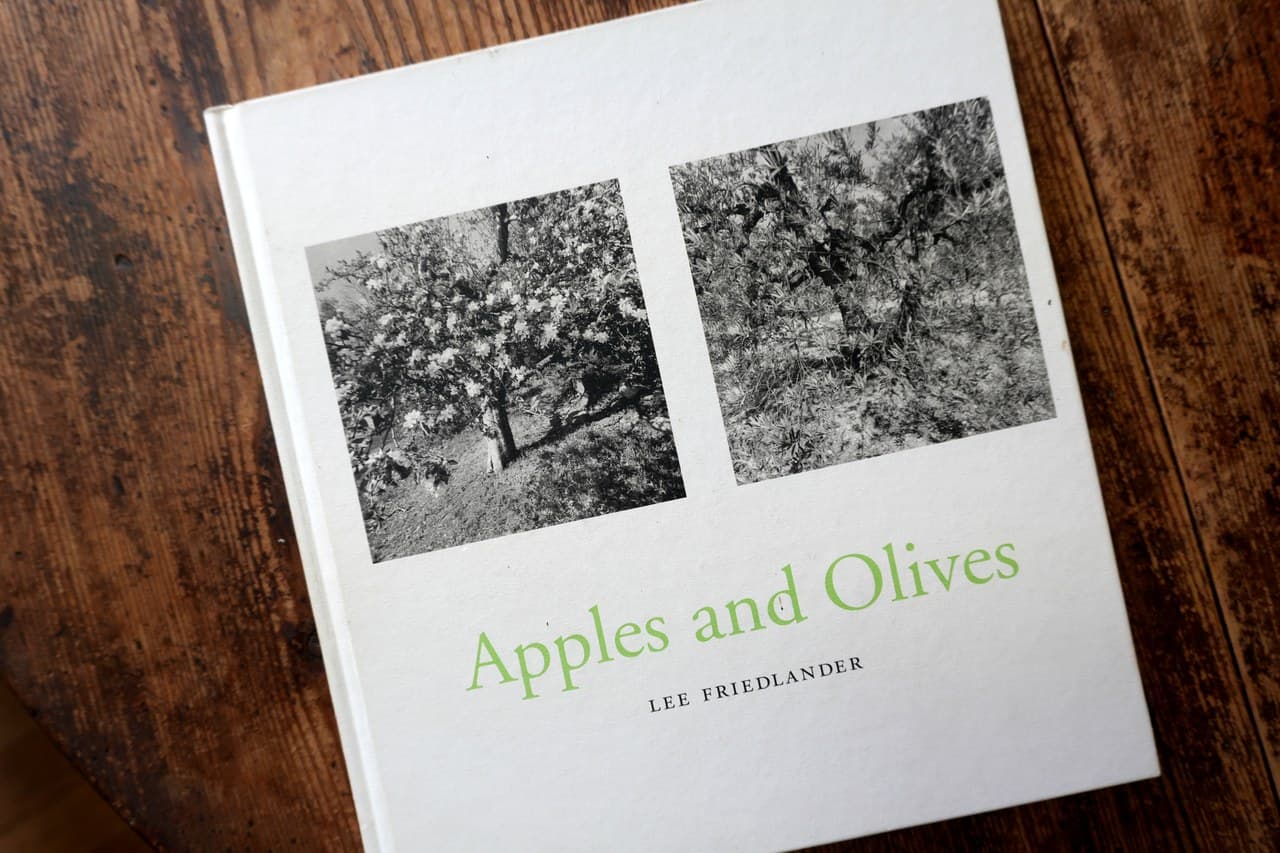 Lee Friedlander『Apples and Olives』