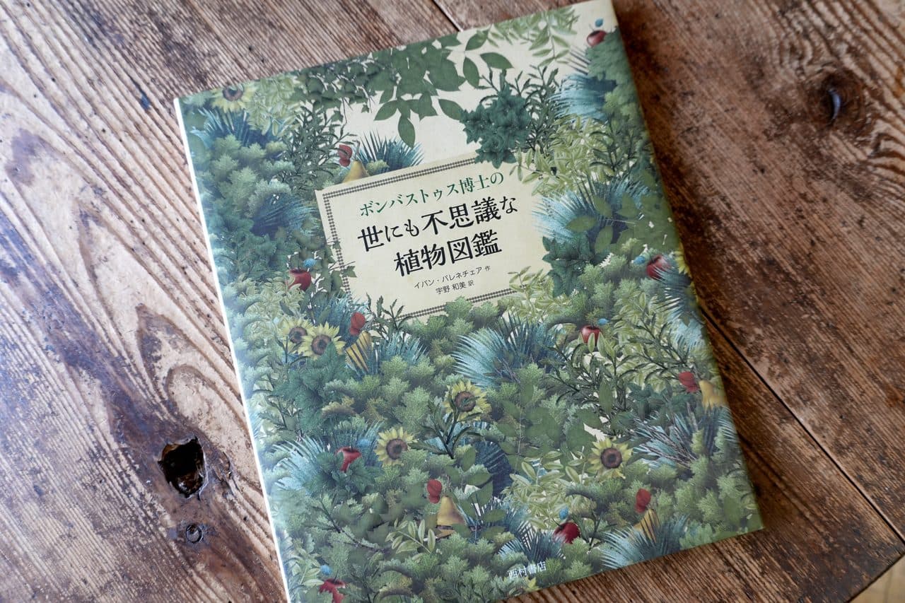 イバン・バレネチェア『ボンバストゥス博士の世にも不思議な植物図鑑』宇野和美訳（西村書店）