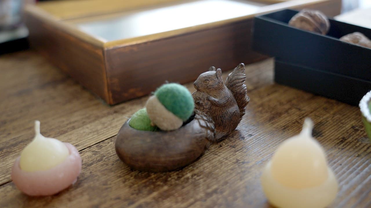 箱に並べたどんぐり