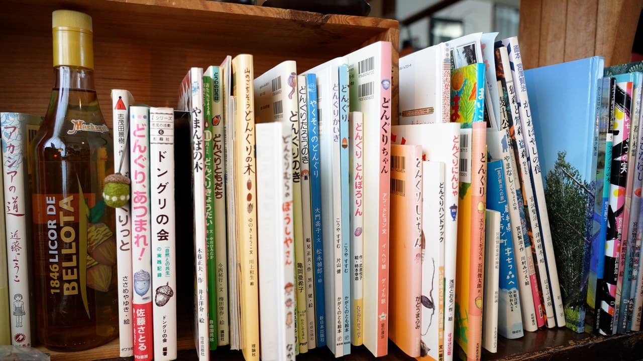 どんぐりの本の棚