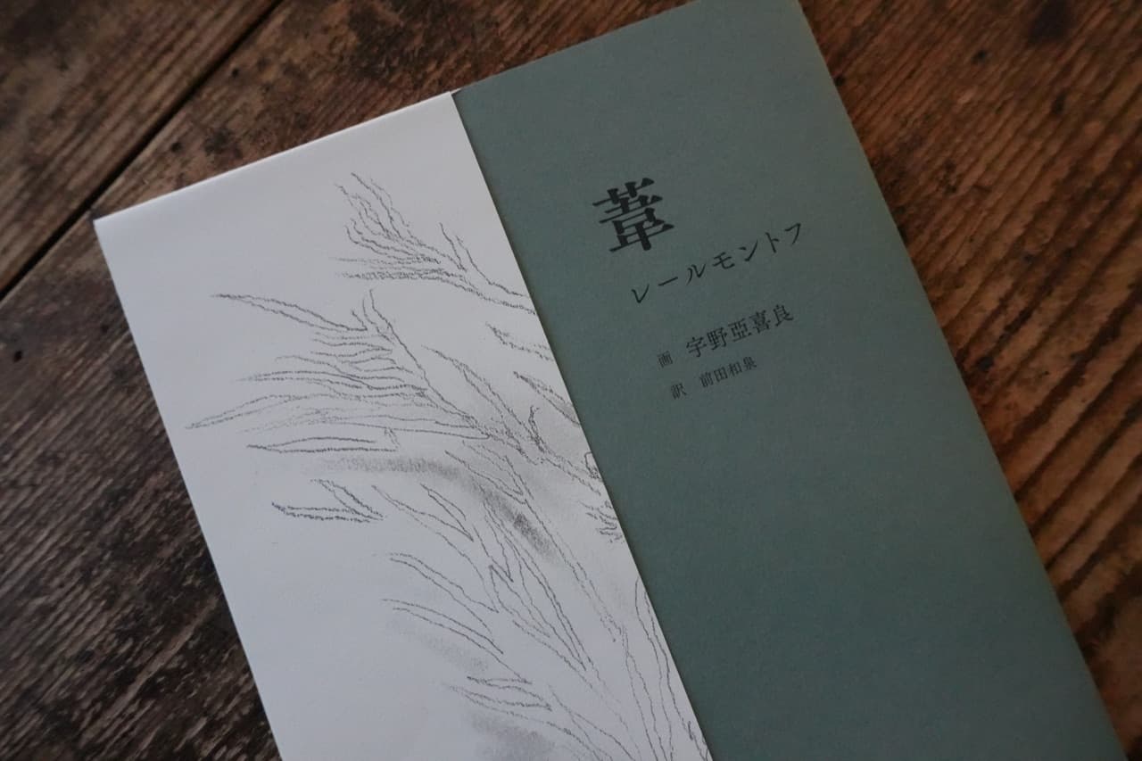 葦