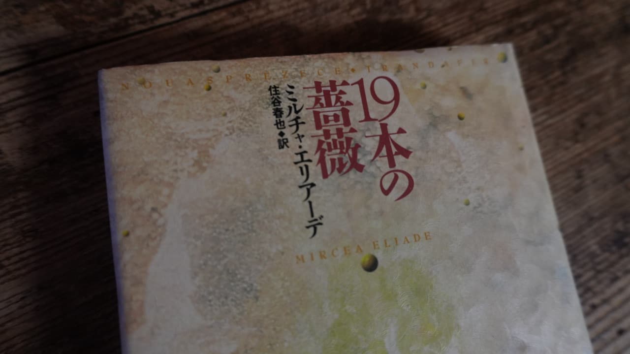 19本の薔薇