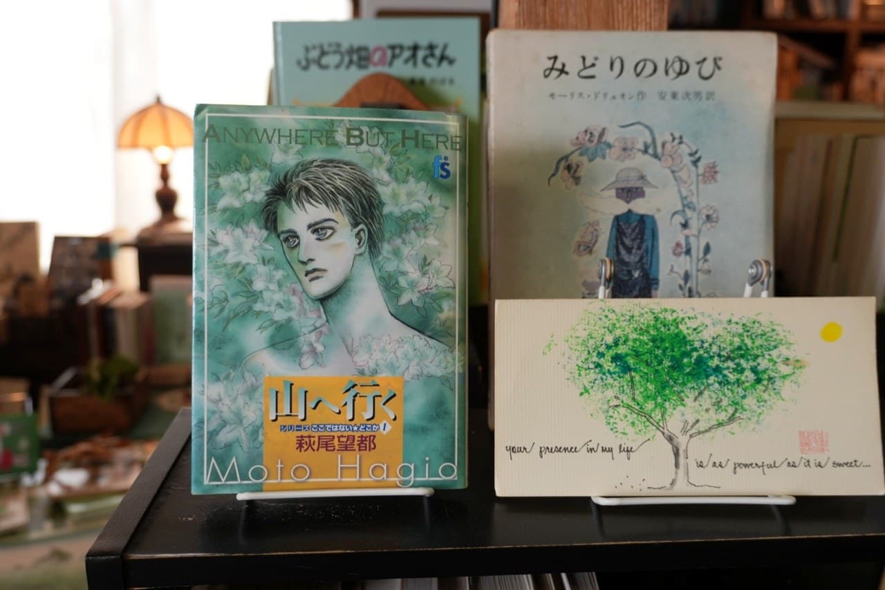 木林文庫の棚で。右は『みどりのゆび』