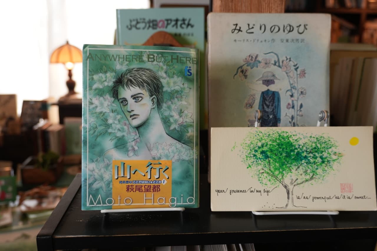 木林文庫の棚で。右は『みどりのゆび』