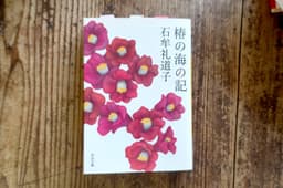 椿の海の記
