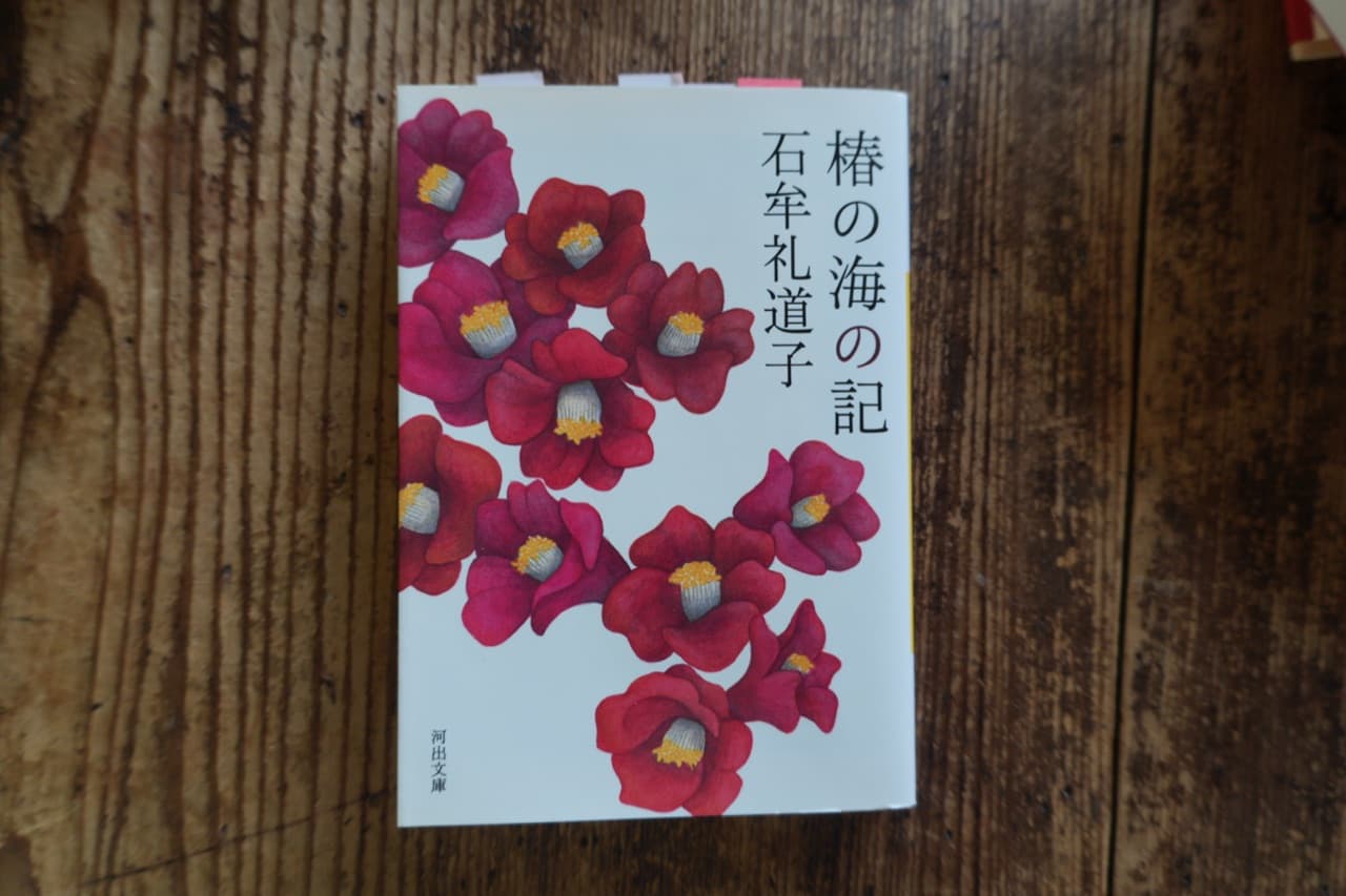 椿の海の記