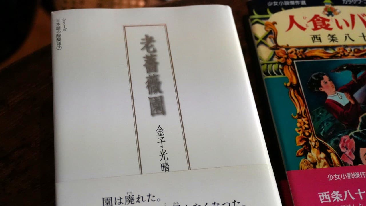 金子光晴『老薔薇園』