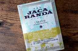 JACARANDA