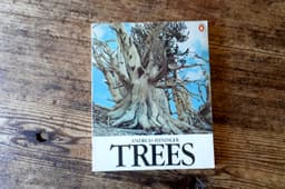 Trees