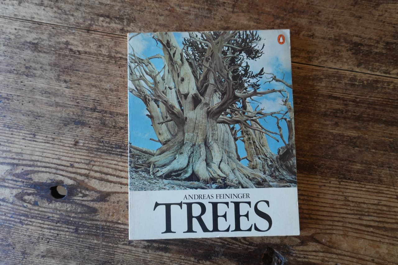 Trees