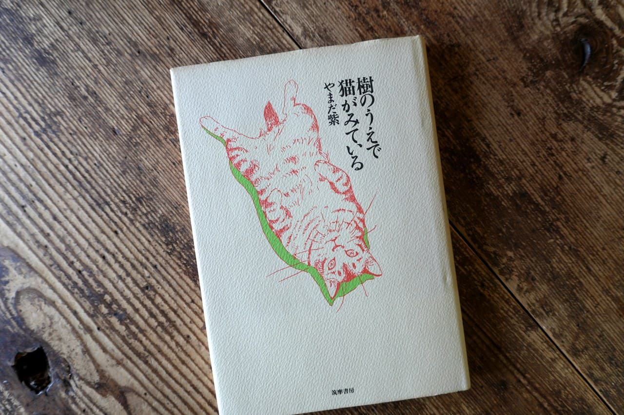 やまだ紫『樹のうえで猫がみている』装丁：南伸坊。こちらを見上げている猫