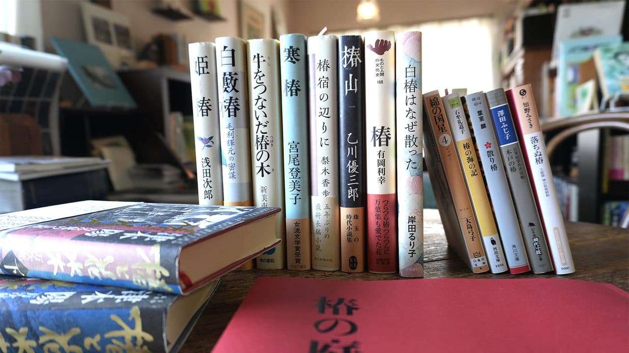 椿の本が並ぶ棚
