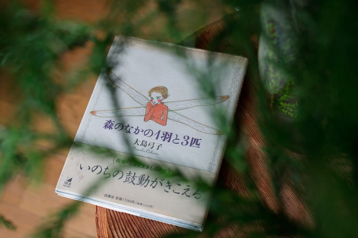 木林文庫の風景