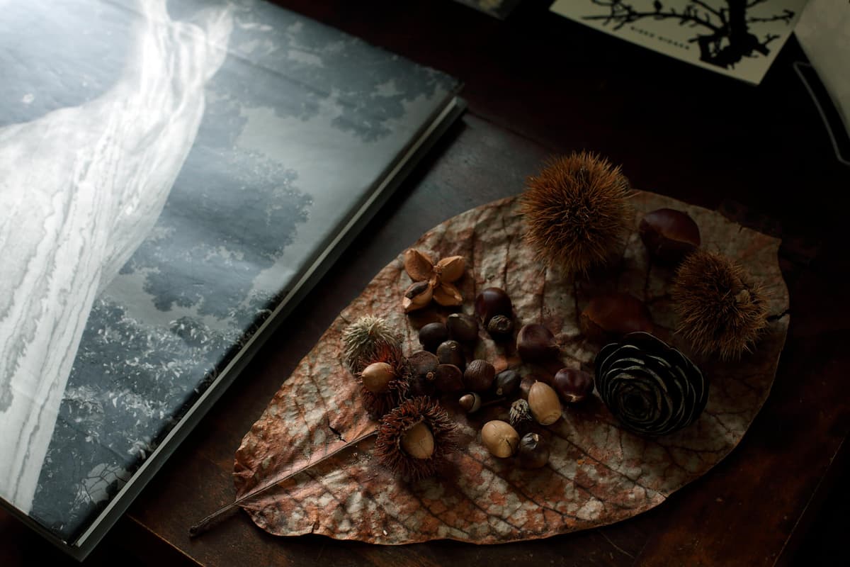 木林文庫の日常