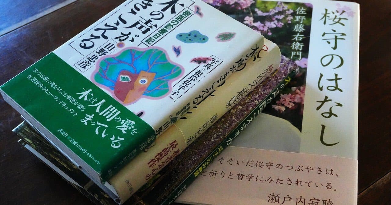 樹のお医者さん