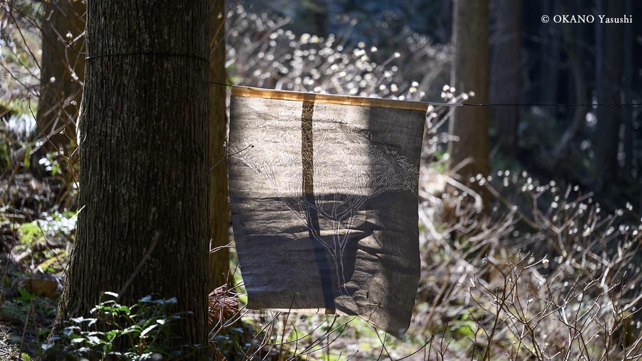 右手（うて）——ミツマタの里へ