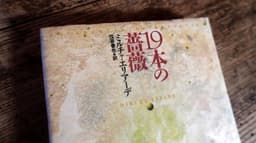 19本の薔薇