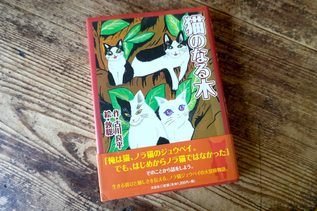 猫のなる木