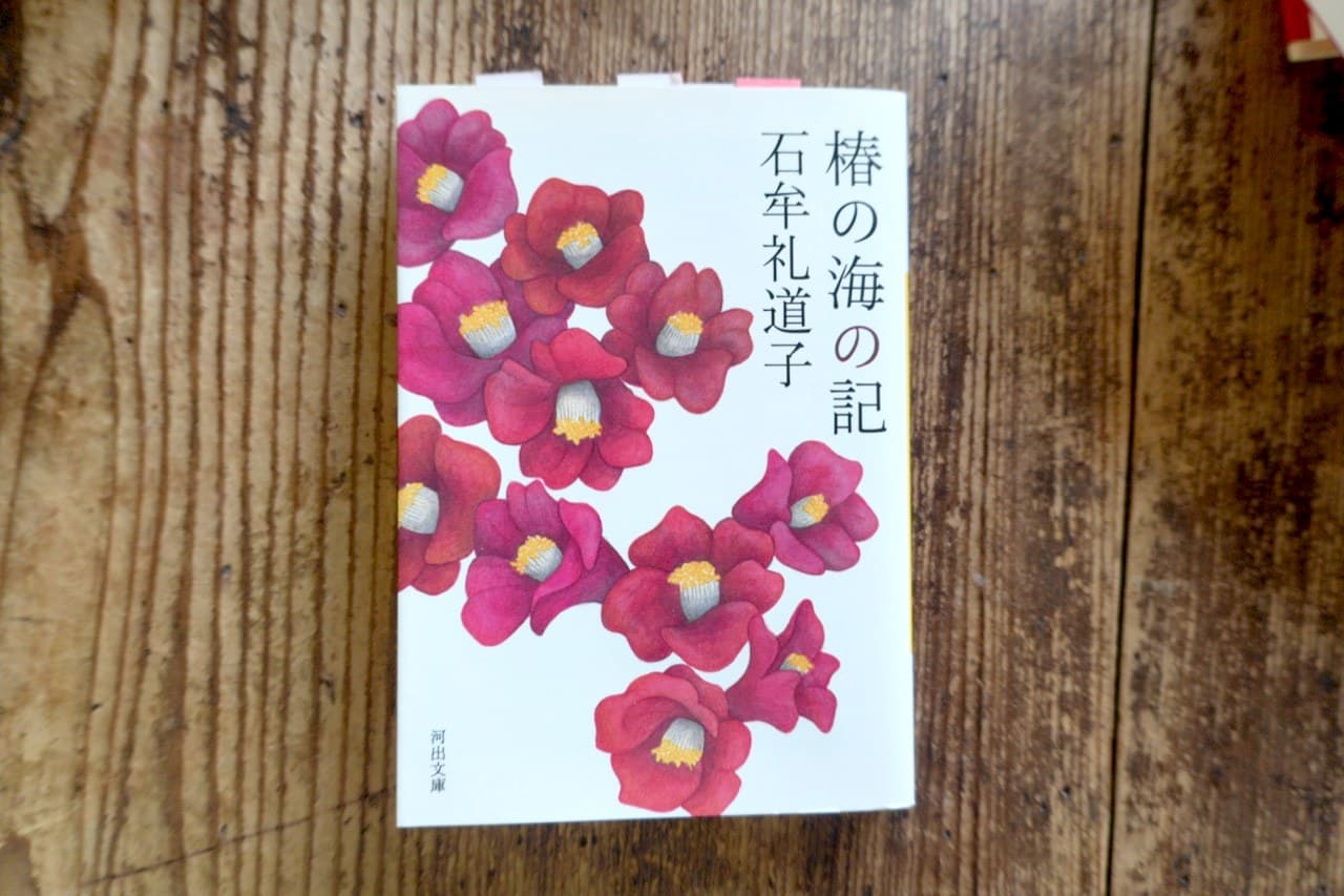 石牟礼道子『椿の海の記』河出文庫