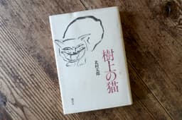 樹上の猫