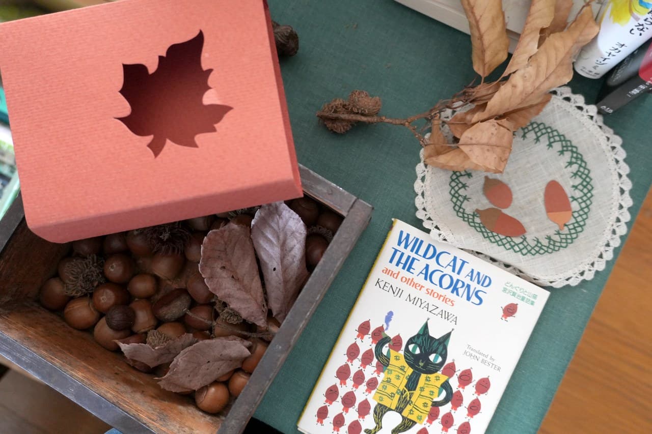 英語版『WILDCAT AND THE ACORNS』。拾い集めたどんぐりと一緒に
