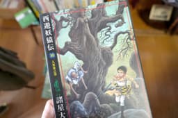 西遊妖猿伝