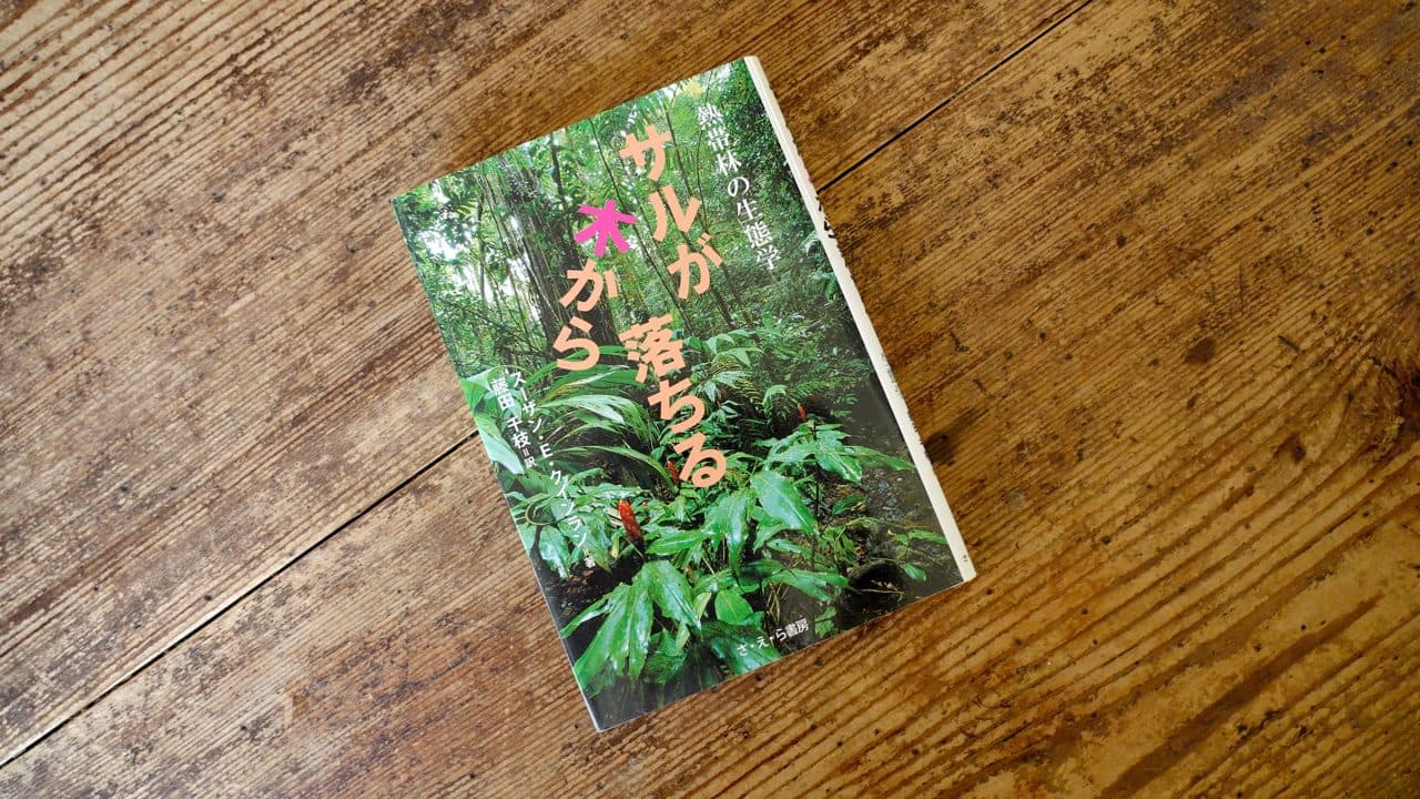 スーザン・E・クインラン『サルが木から落ちる 熱帯林の生態学』藤田千枝訳(さ・え・ら書房、2008)