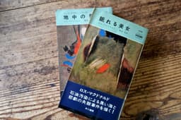 地中の男
