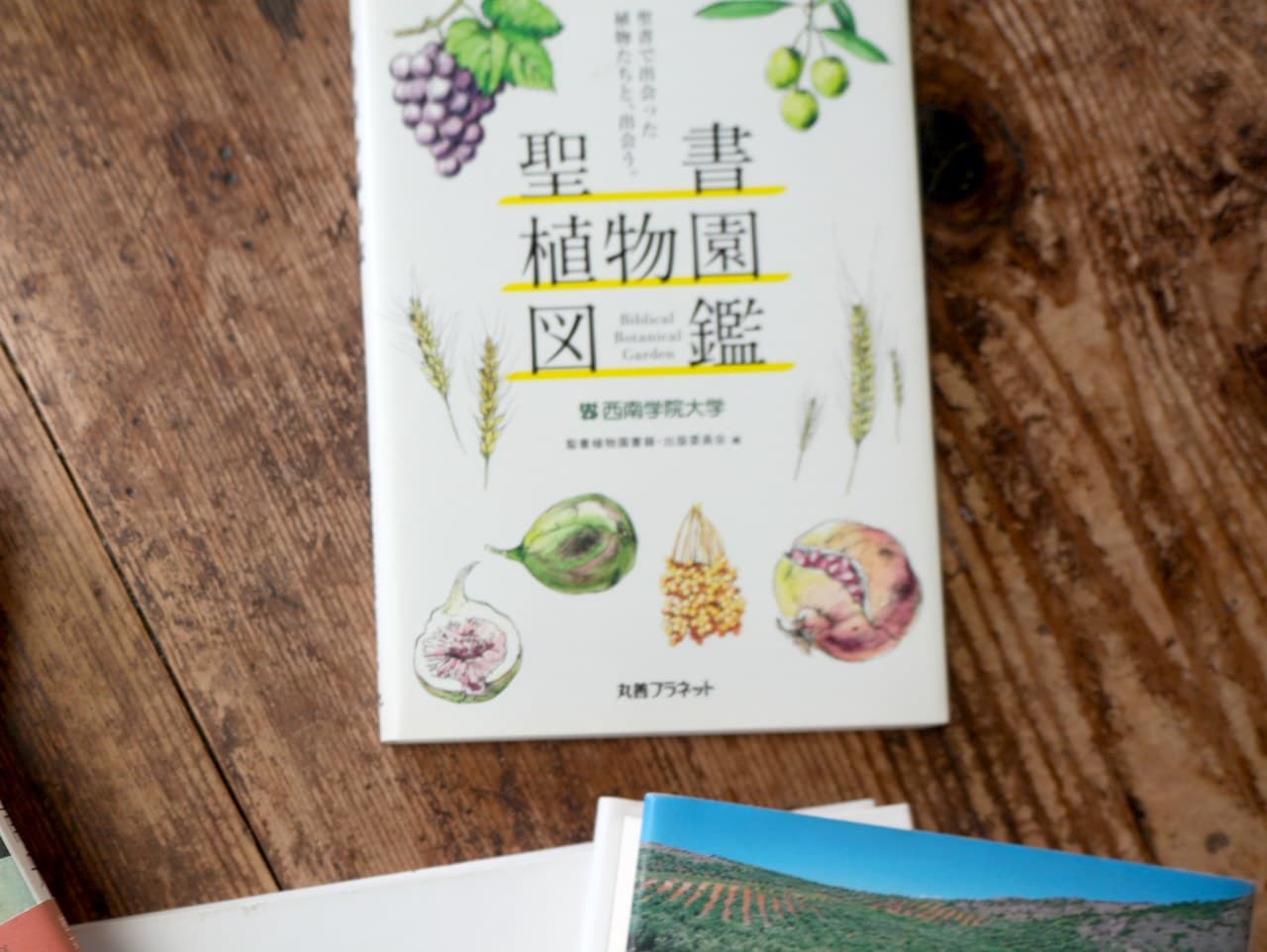 聖書植物園図鑑