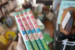 風と木の詩