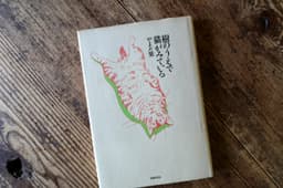 樹のうえで猫がみている