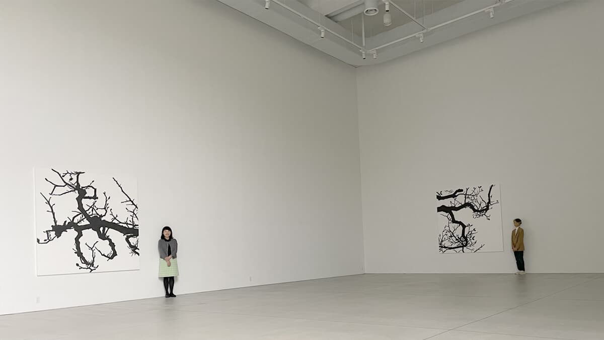 空間と、自然光と、絵と