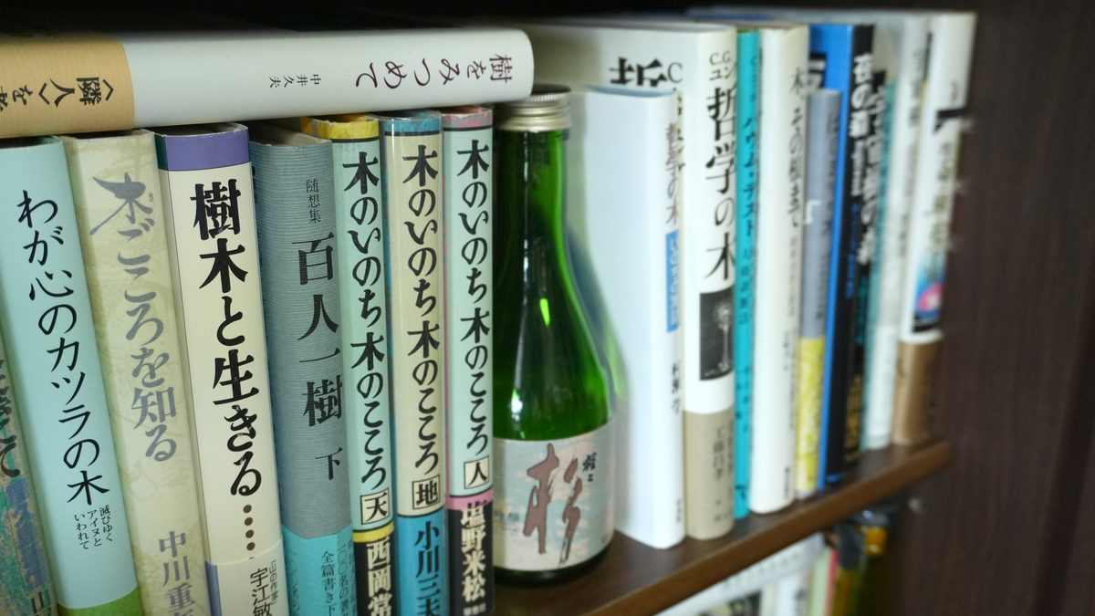 「杉」のラベルの酒瓶を、木のいのちの本のブックエンドに