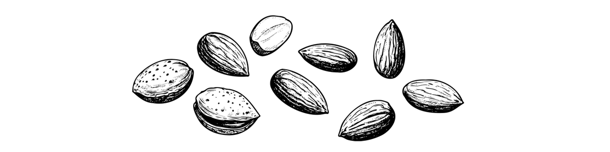 実プランのイメージ