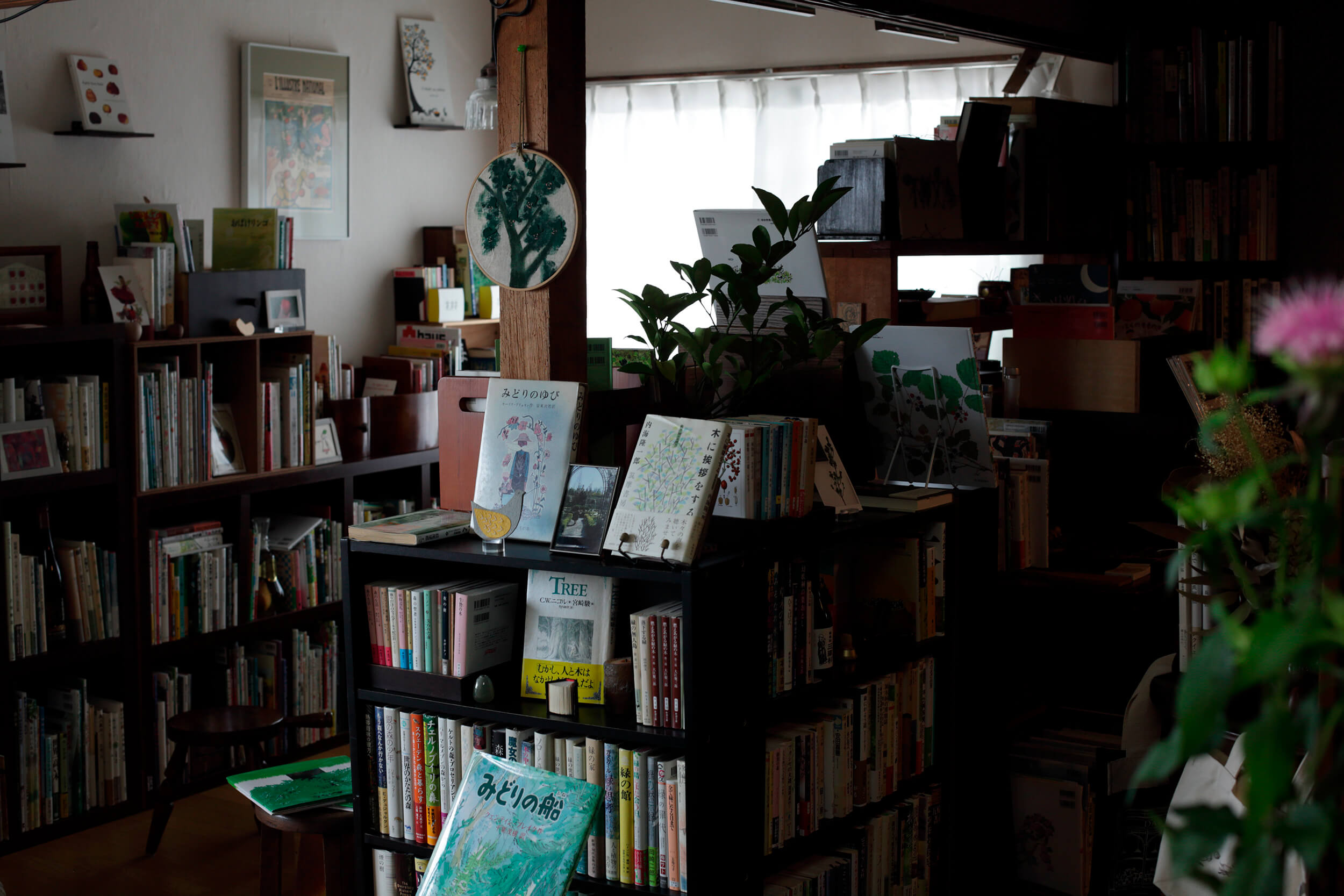 木林文庫の内観