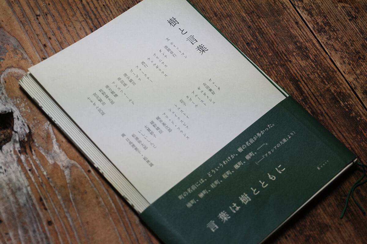 展示風景の写真（あたり）