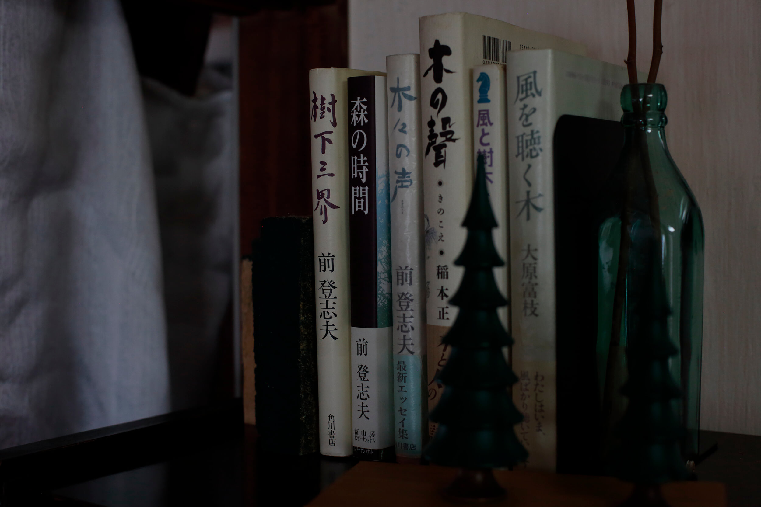 木林文庫の写真（あたり）