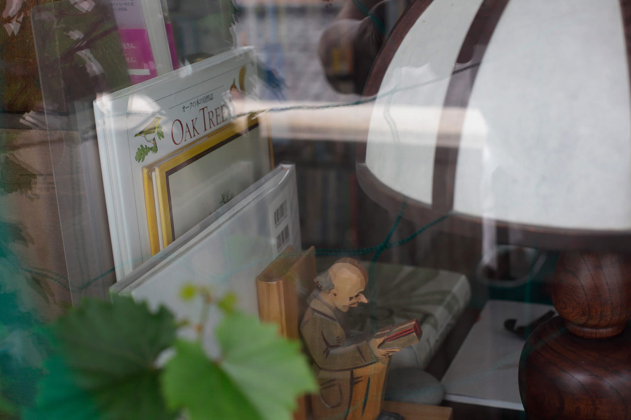 木林文庫の写真（あたり）